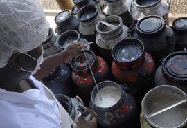 CMN libera linha de capital de giro para cooperativas de leite no Pronaf