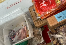 Vigilância Sanitária interdita trailer e apreende cerca de 20 kg de alimentos impróprios em Maceió