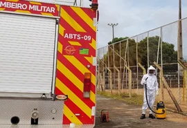 Duas mulheres e uma criança ficam gravemente feridas após ataque de abelhas, em Arapiraca