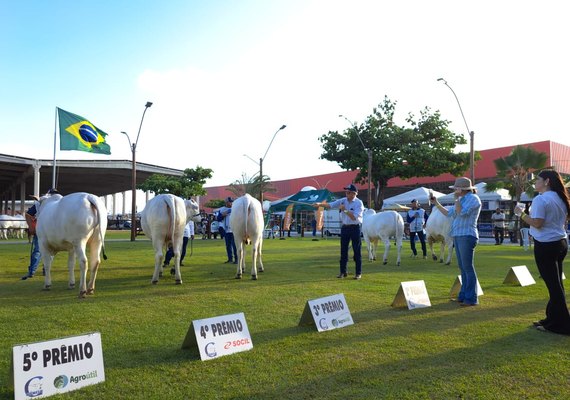 Diretor da ABCZ confirma Expoagro Alagoas como uma das principais feiras do Nordeste
