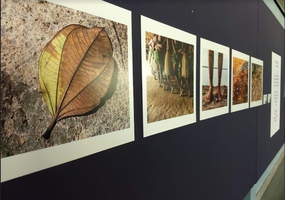 Diteal e FotoSururu 2020 apresentam exposição Narrativas Poéticas no Youtube