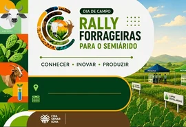 Projeto leva novas tecnologias para alimentação do gado em Alagoas