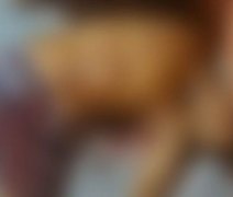 Homem é morto a facadas dentro de casa após bebedeira, em Marechal Deodoro