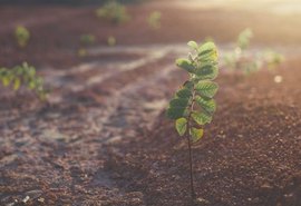 Agricultura de processos e microbiologia do solo ganham destaque