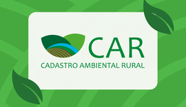 Sistema Nacional de Cadastro Ambiental Rural é temporariamente suspenso