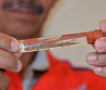 Verão chega e Sesau reforça cuidados contra dengue em Alagoas