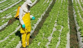 Lula sanciona com vetos lei que acelera registro de agrotóxicos no Brasil