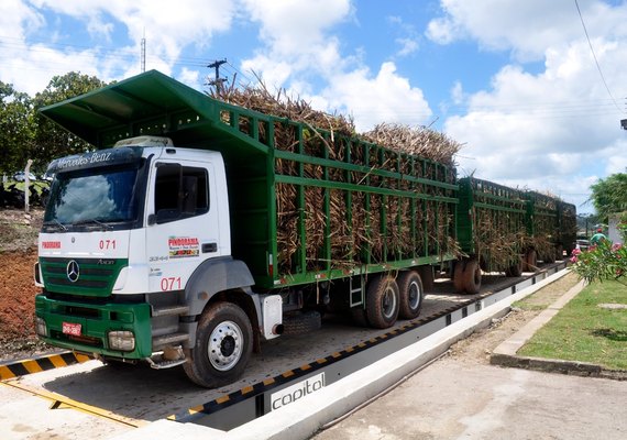 Safra de cana pode ficar acima de 18 mi de toneladas