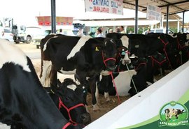 Expo Bacia libera inscrições para Seminário da Cadeia do Leite