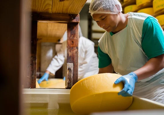 Cresce participação brasileira entre as maiores cooperativas do mundo