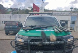 Batalhão Ambiental identifica cativeiros ilegais de animais silvestres em AL