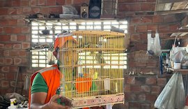 Mais de 40 animais são resgatados de cativeiro irregular no interior de Alagoas