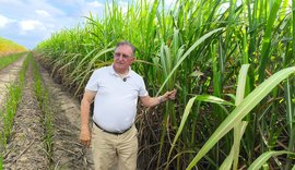 Fazenda Santo Antônio revoluciona o cultivo de cana com plantio direto em Alagoas