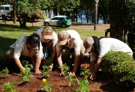 Cooperativas constroem cidades mais sustentáveis e inclusivas