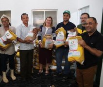 Agricultores recebem 1,6 toneladas de sementes de feijão e milho no município de Porto Calvo