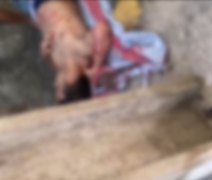 Homem é baleado em tentativa de homicídio no Benedito Bentes