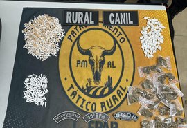 Polícia Militar apreende quase 3 mil unidades de drogas no interior de Alagoas