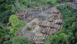 Comissão debate novo modelo de desenvolvimento para Amazônia