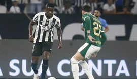 Botafogo recebe Palmeiras no primeiro jogo das oitavas da Libertadores