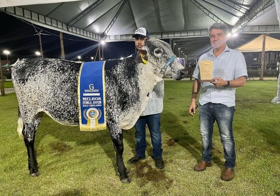 Expoalagoas Genética 2026 aposta em inovação e melhoramento do rebanho