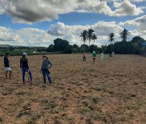 Unicafes/AL mobiliza setor para auxiliar agricultores afetados pelas chuvas