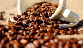 Exportação de café segue em bom desempenho há sete meses