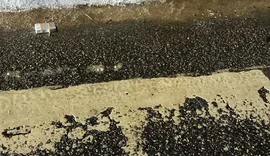 Jovem fica ferido em acidente entre motos e ônibus na AL-220, em Arapiraca