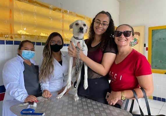 Prefeitura de Arapiraca realiza mutirão de castração de animais no bairro Baixa Grande