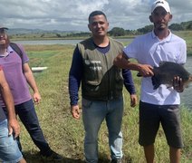 Criação de peixe vira case de sucesso no Agreste de Alagoas