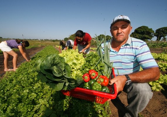 Projeto Brasil Mais Cooperativo beneficia agricultores familiares
