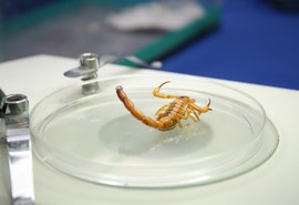 Pesquisa da Ufal mostra impacto das internações por animais peçonhentos no Brasil
