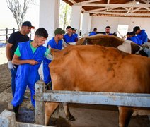Curso de inseminação artifical busca ampliar a produtividade leiteira em Alagoas
