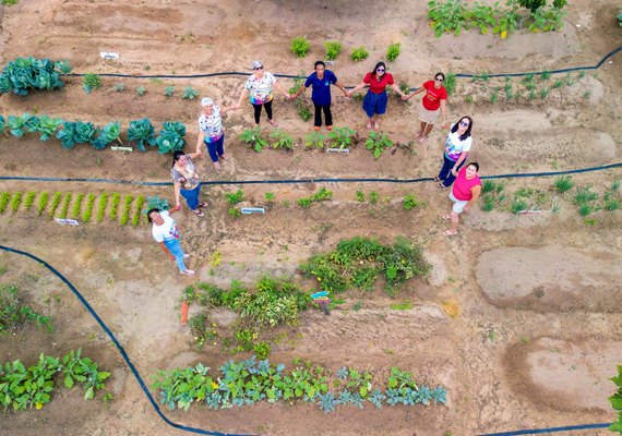 Hortas Urbanas unem a alimentação saudável ao combate à fome em Alagoas