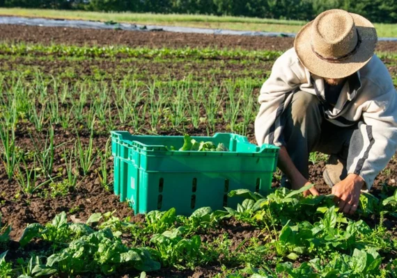 Mudanças climáticas: o desafio da resiliência no cooperativismo agro