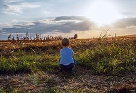 Um panorama para o agro de 2024