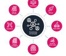 O SUCESSO DA INOVAÇÃO EM ALAGOAS: AS REDES VÃO ALÉM DE QUALQUER ECOSSISTEMA