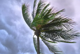 Alagoas pode ter ventos de até 50 km/h entre quinta e sábado, alerta Semarh