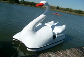 Hotel Fazenda deve indenizar cliente que teve dedo amputado após acidente em 'pedalinho'