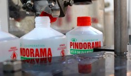 Pindorama já comercializou mais de seis mil caixas de álcool gel este mês