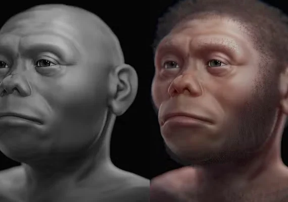 Pesquisa indica que 'hobbits' humanos viviam de carcaças na Indonésia