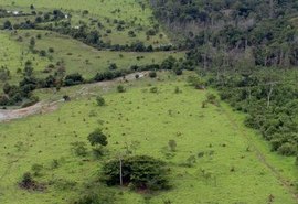 Governo prorroga prazo para georreferenciamento de imóveis rurais