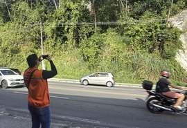 Defesa Civil identifica 58 árvores em situação de risco em Maceió