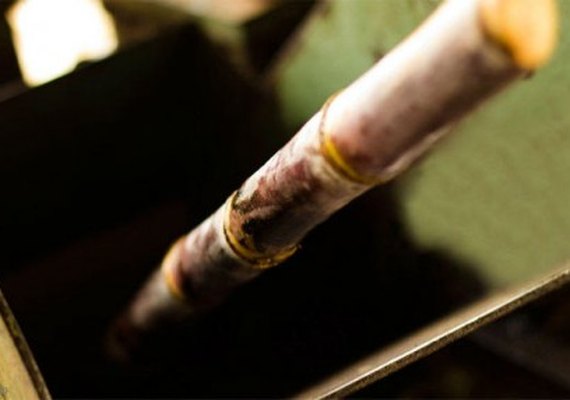 Safra de cana 20/21 será menor que o esperado em Alagoas