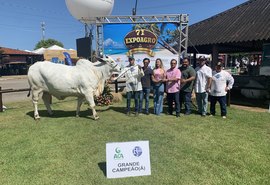 Criadores de AL e RN ganham grande campeonato de nelore na 71ª Expoagro