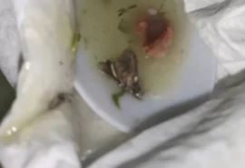 Ufal investiga relatos de vidro e barata encontrados em refeições do RU