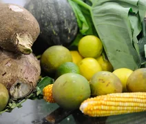 Agrotóxicos: 25% dos alimentos de origem vegetal no Brasil têm resíduos