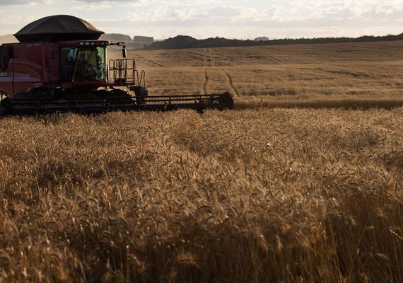 Câmara aprova fundo de investimento no setor agropecuário