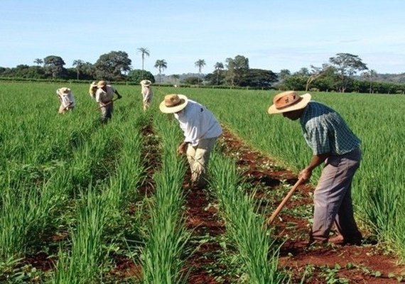 Produtos da agricultura familiar irão abastecer hospitais
