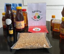 Pesquisa mostra que  23,6 mil quilos de mel foram produzidos no Sul de Alagoas