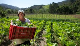 Prefeitura de Arapiraca abre chamada para Programa de Aquisição de Alimentos